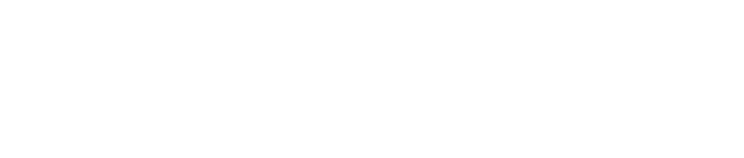 BLUEKENS truck&bus logo White