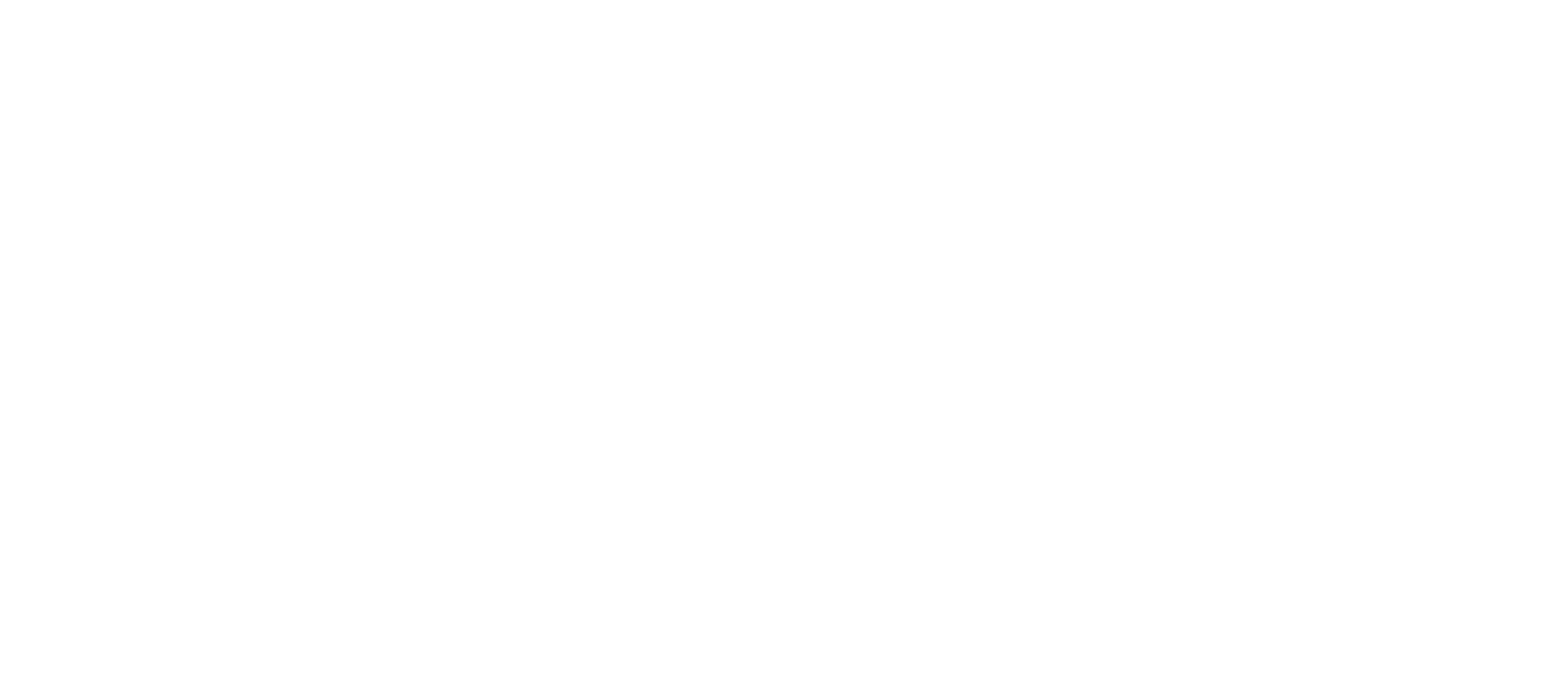 Special Cargo